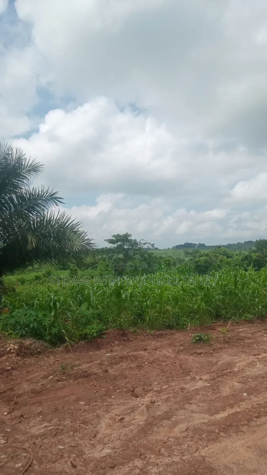 Alpha Investment Land for Sale at Kasoa Buduatta in Awutu Senya West