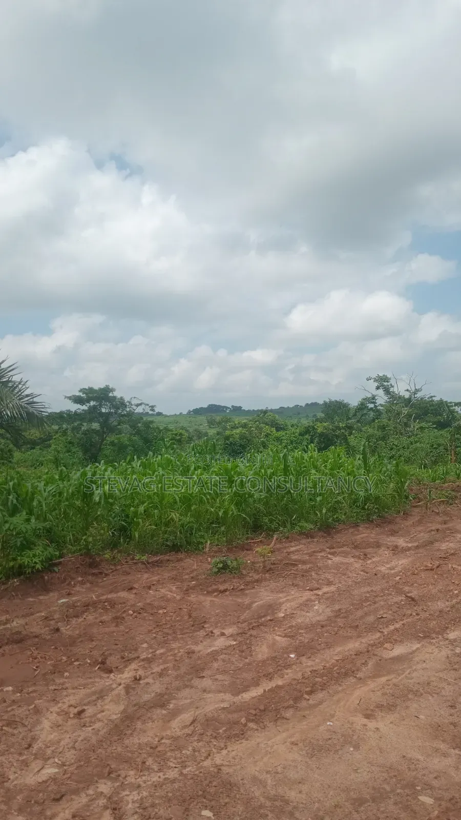 Alpha Investment Land for Sale at Kasoa Buduatta in Awutu Senya West