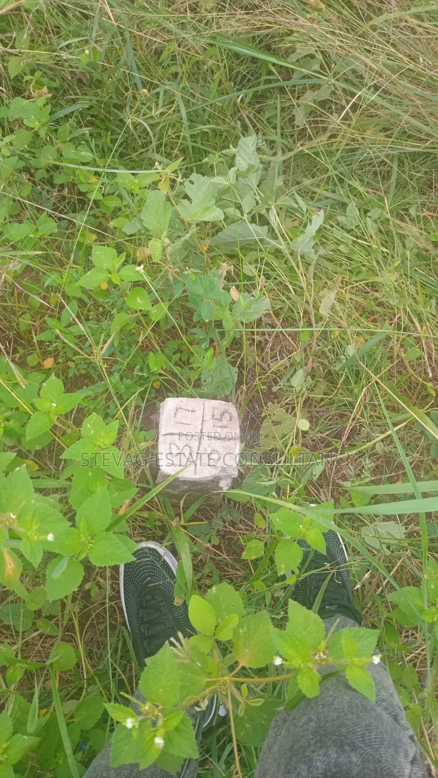 Genuine Estate Company Land for Sale at Nsawam Ayibontey in Akuapim North