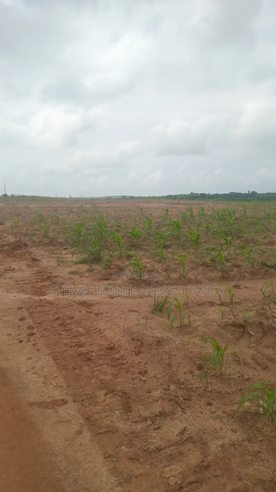 Genuine Estate Company Land for Sale at Nsawam Ayibontey in Akuapim North
