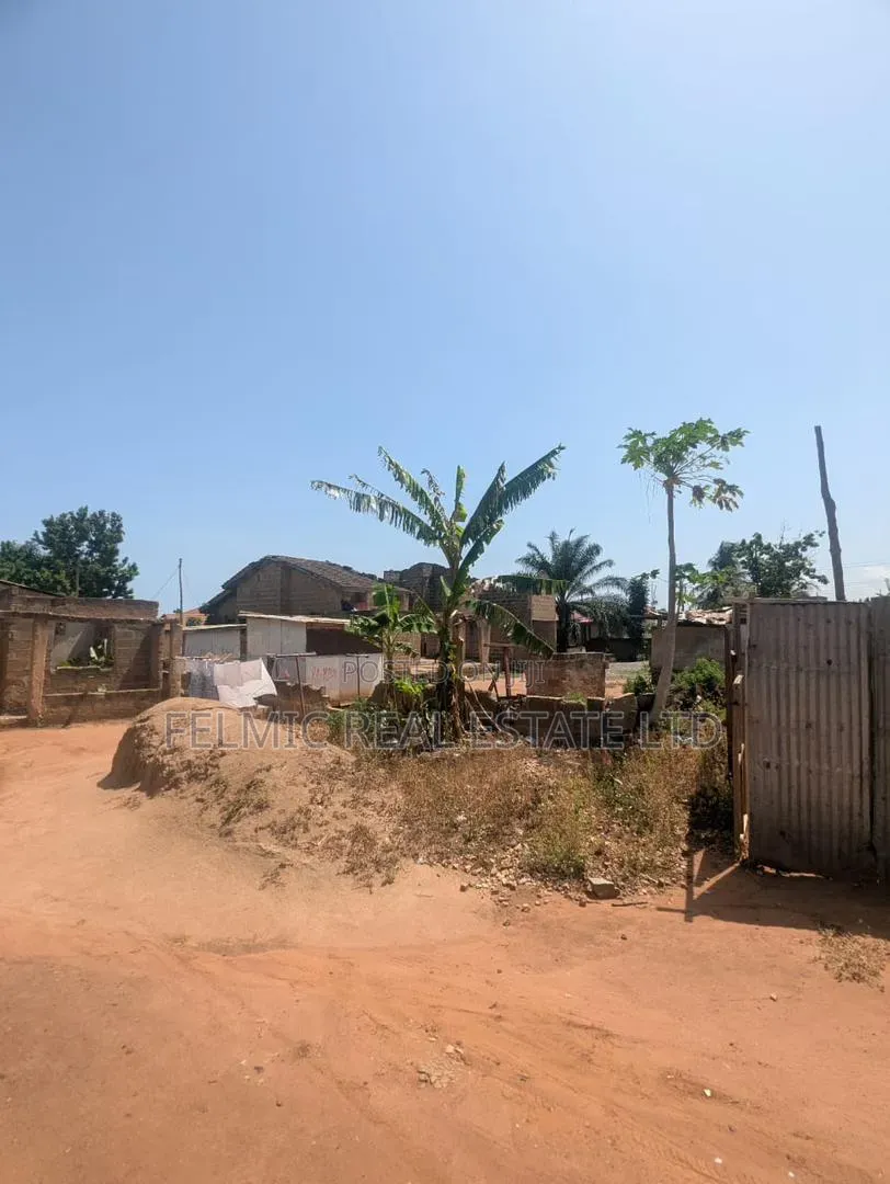 1 Plot of Land at Ofankor 7 Days for Sale in Ofankor