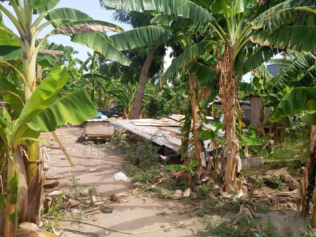 Half Plot of Land at Ayawaso for Sale in Ofankor