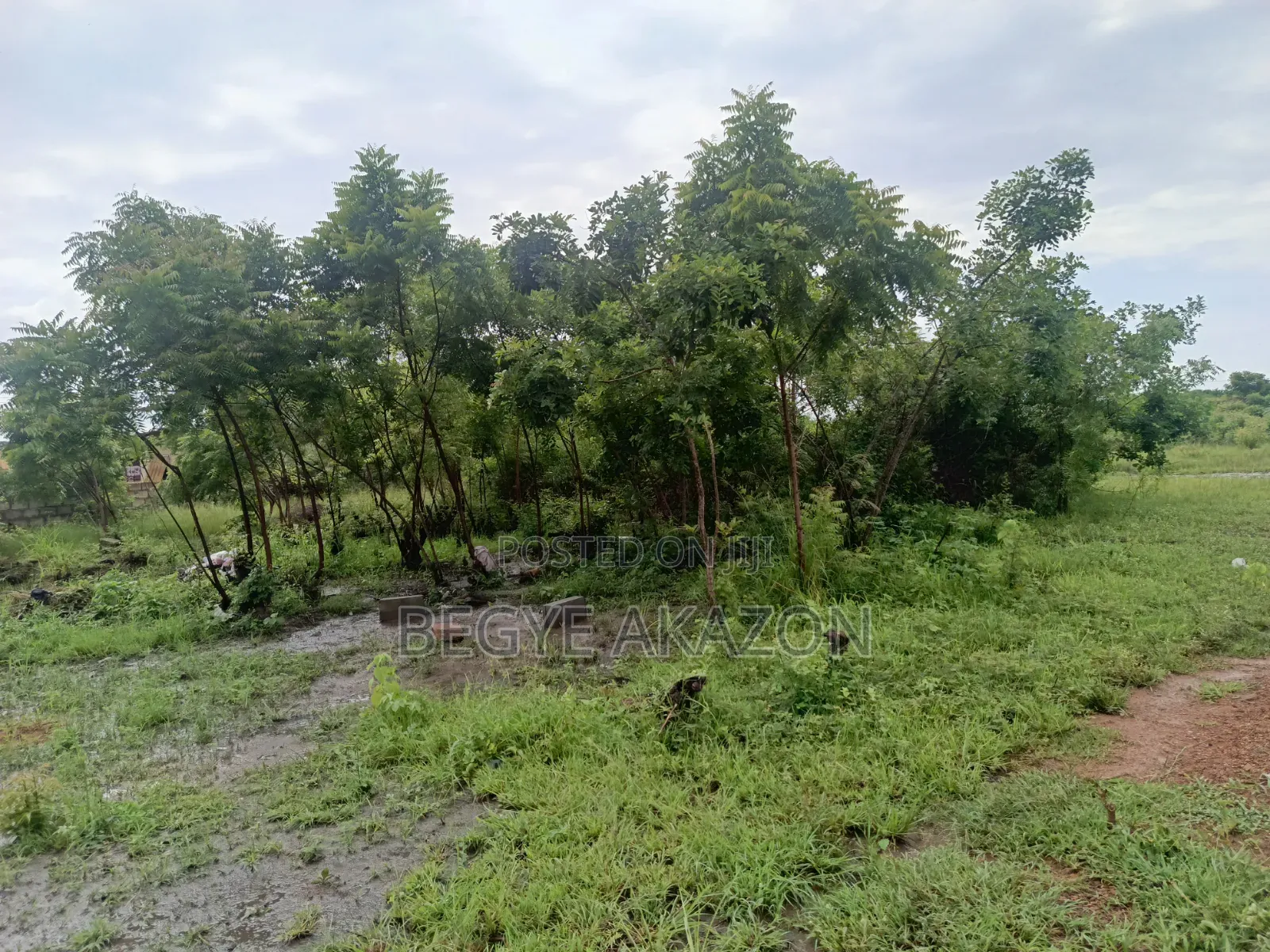 5 Plots of Roadside Land for Sale at Adenta in Barrier