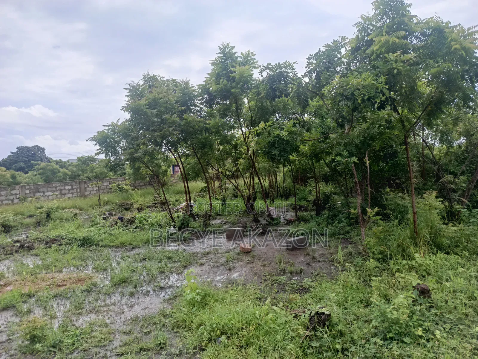 5 Plots of Roadside Land for Sale at Adenta in Barrier