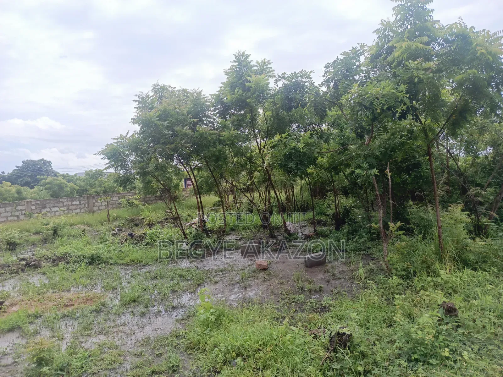 5 Plots of Roadside Land for Sale at Adenta in Barrier