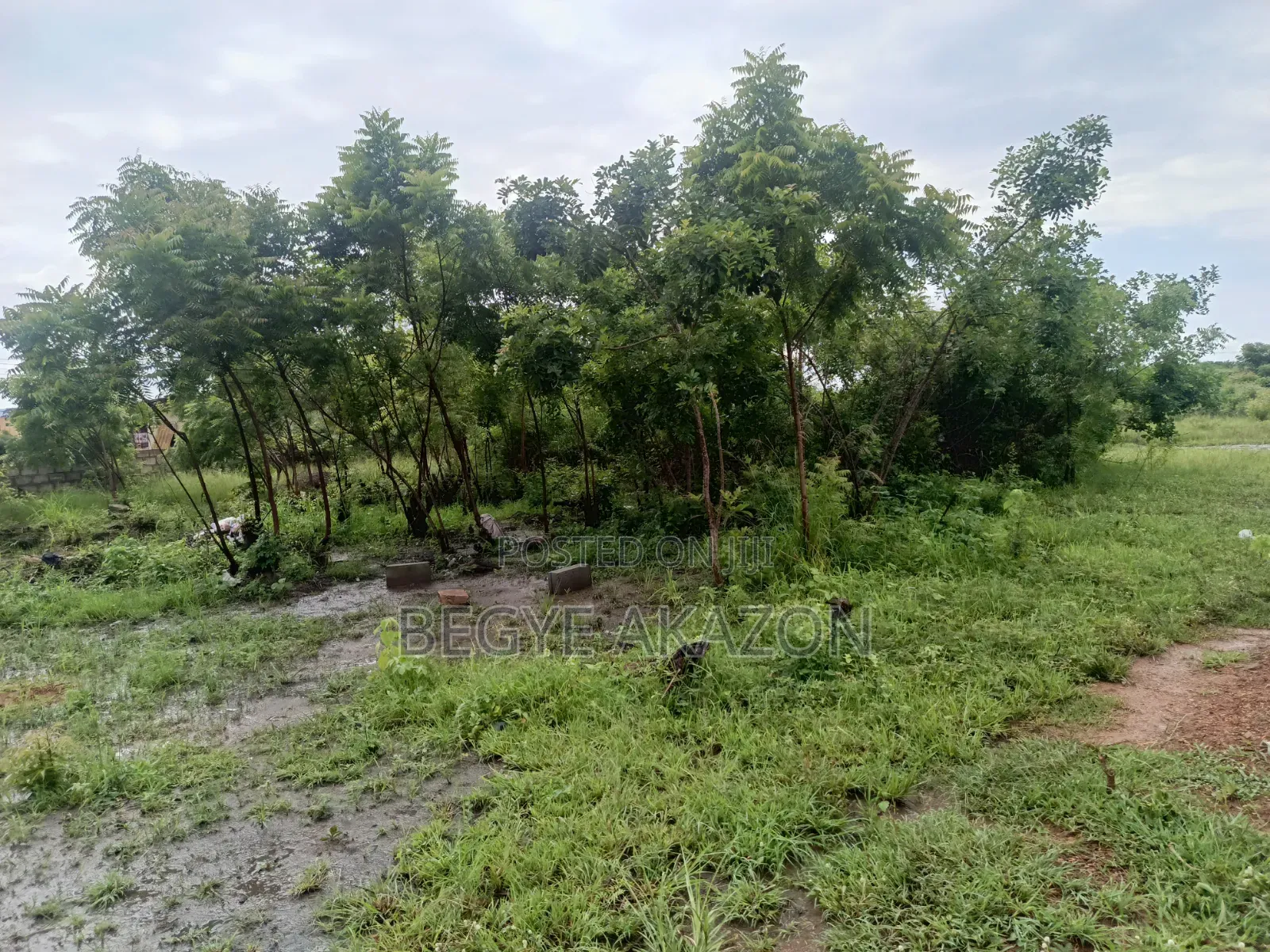 5 Plots of Roadside Land for Sale at Adenta in Barrier