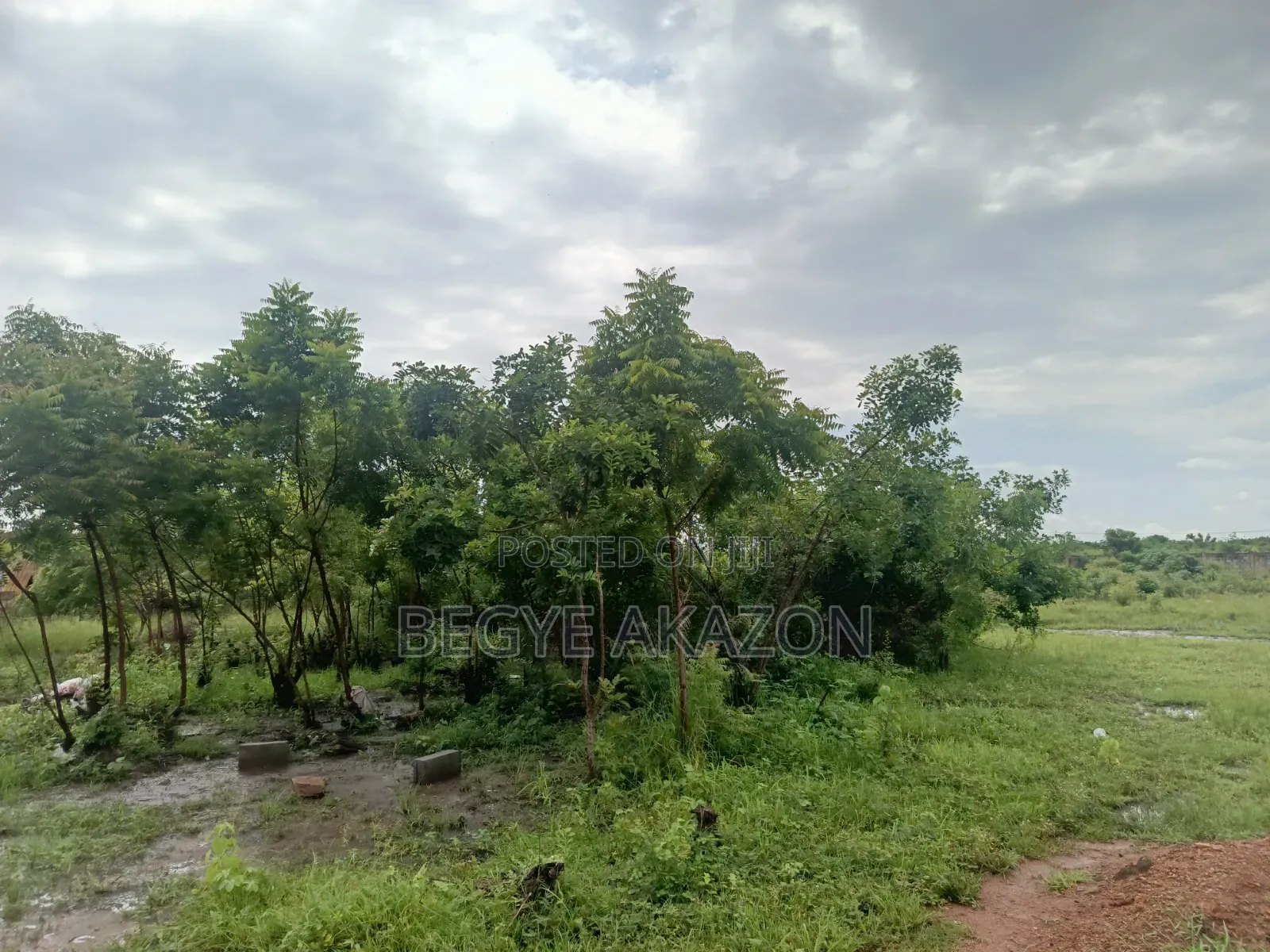 5 Plots of Roadside Land for Sale at Adenta in Barrier