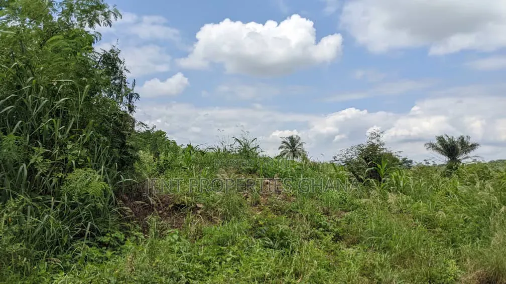 1 and Half Acres of Land for Sale at Madina Zongo Junction in Zongo Junction