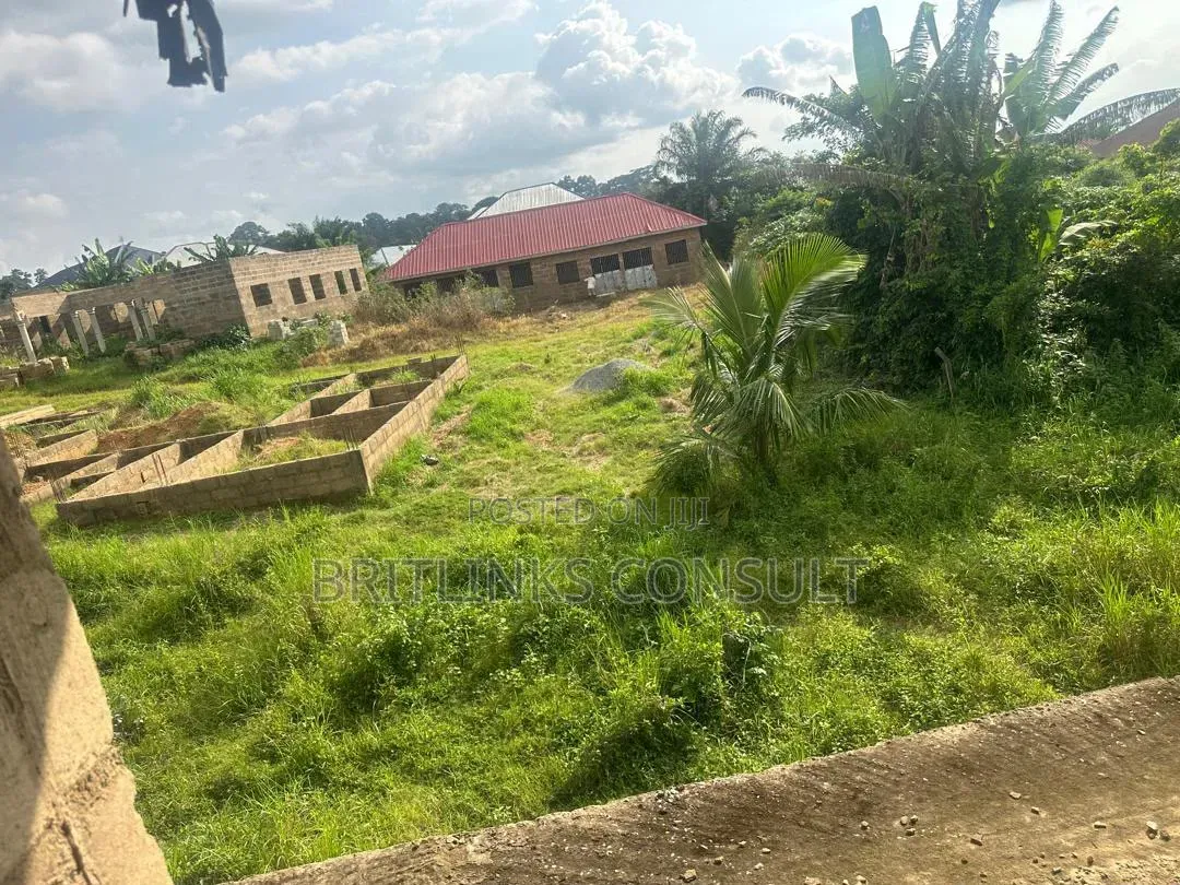 Ducumented Plot of Land for Sale in Koforidua 100/70 Full Plot in East Akim Municipal