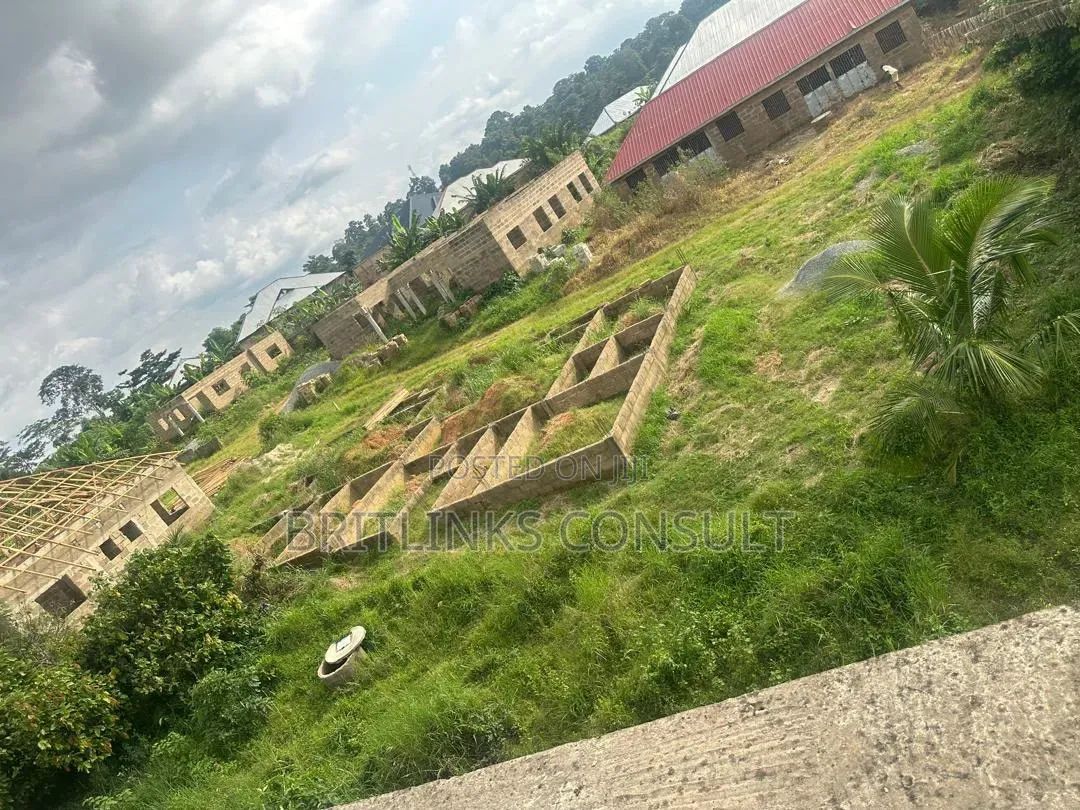 Ducumented Plot of Land for Sale in Koforidua 100/70 Full Plot in East Akim Municipal