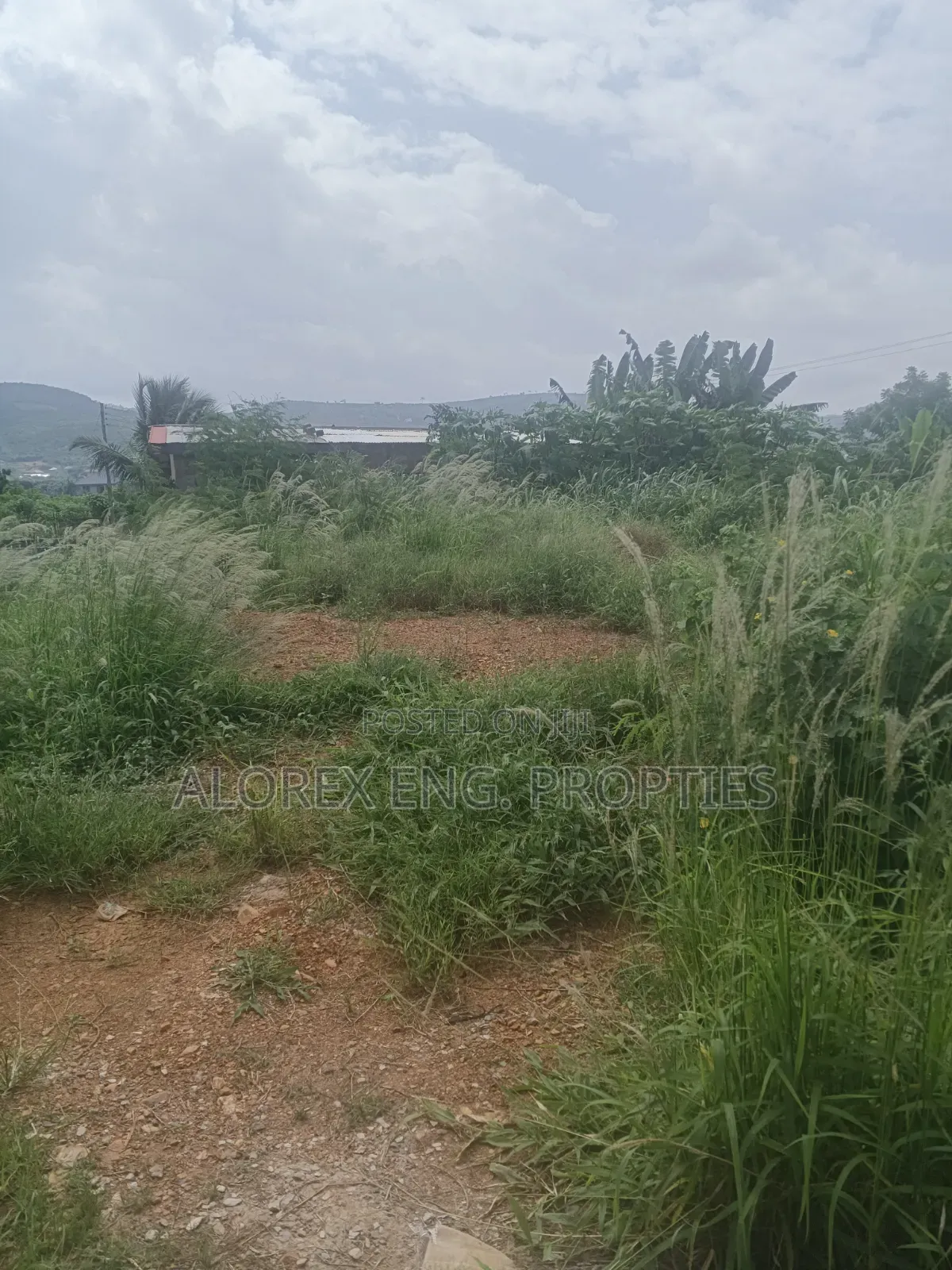 Half Plot for Sale at Oyibi Bawaleshi in Sasaabi