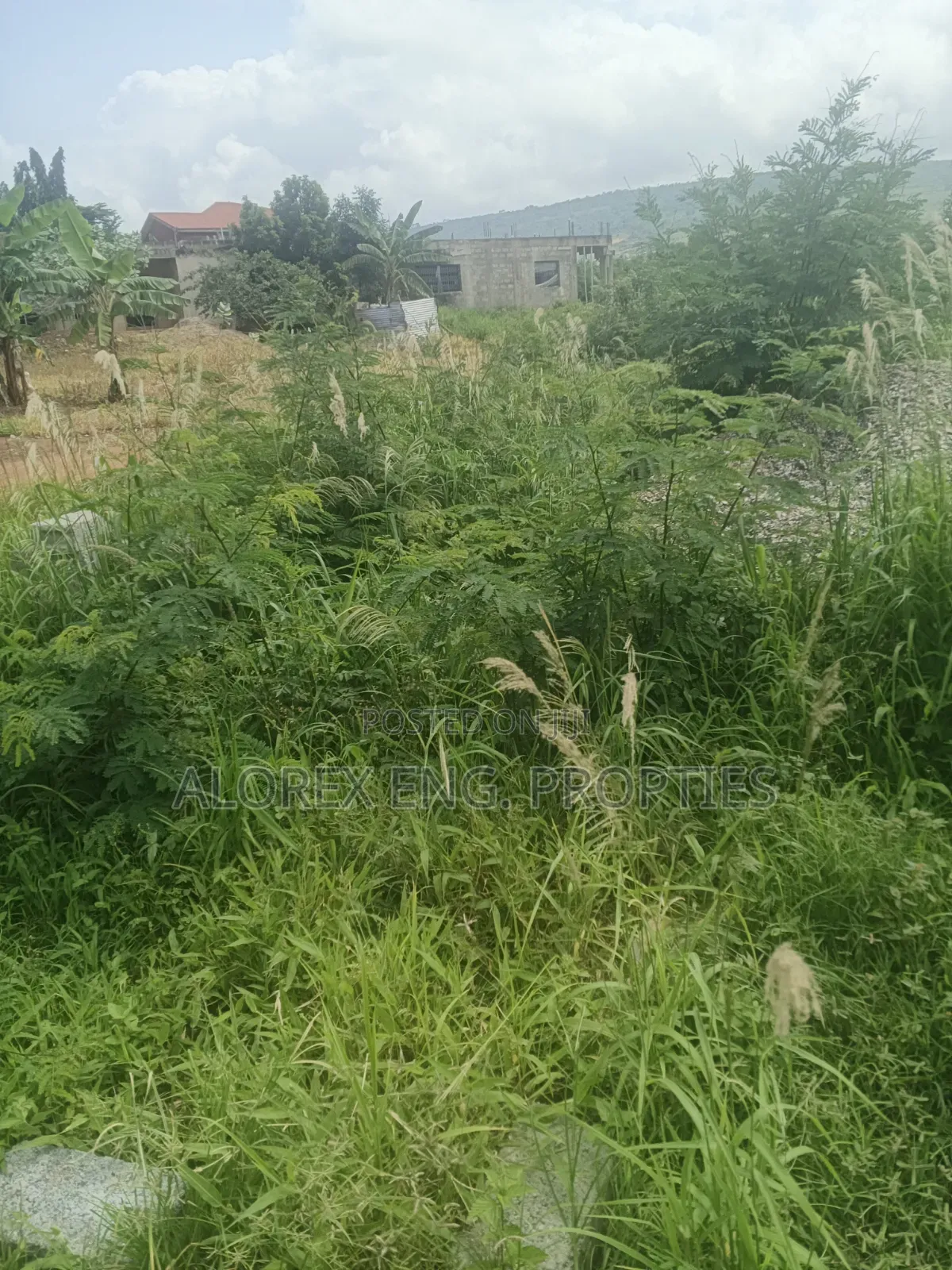Half Plot for Sale at Oyibi Bawaleshi in Sasaabi