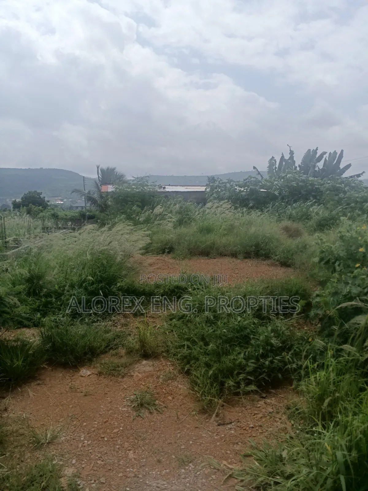 Half Plot for Sale at Oyibi Bawaleshi in Sasaabi
