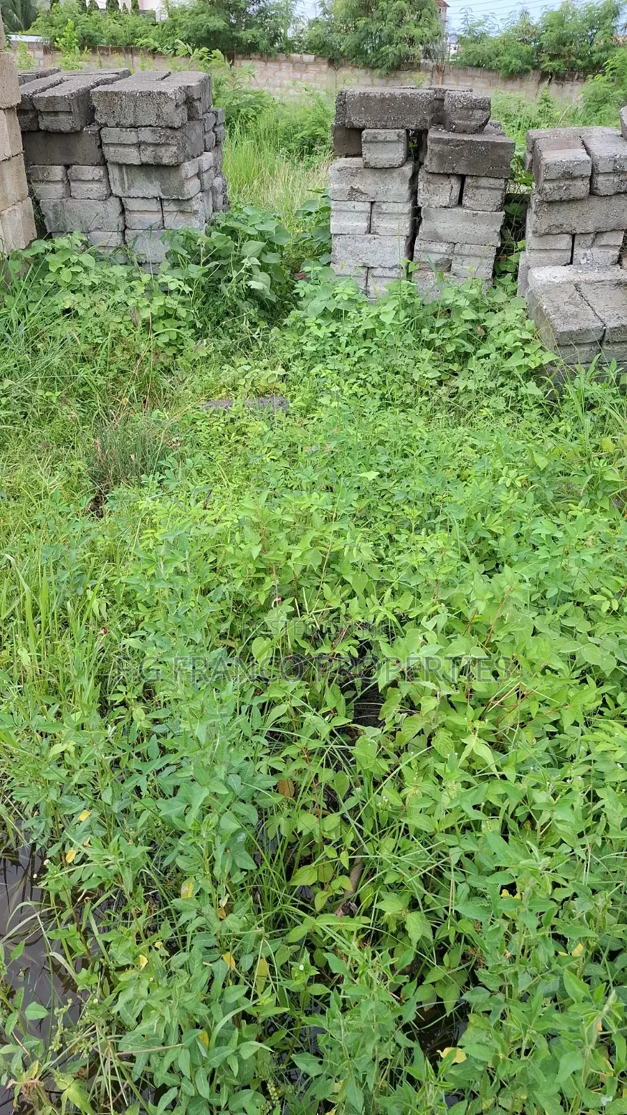 Two Endhalf Plots of Land for Sale at Airport in Airport Residential Area