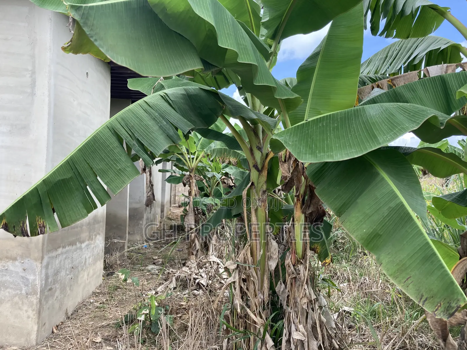 One Plot for Sale at Trede Konkoli. in Kumasi Metropolitan