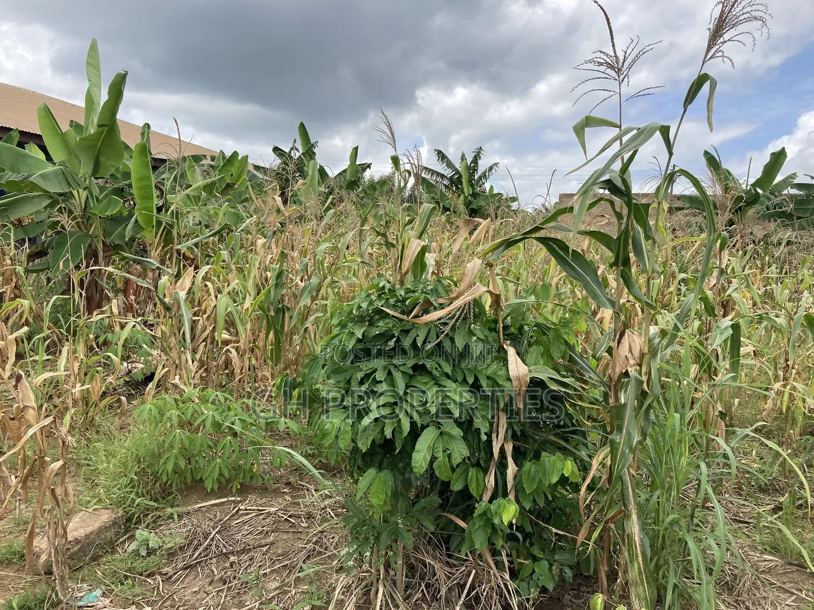 One Plot for Sale at Trede Konkoli. in Kumasi Metropolitan
