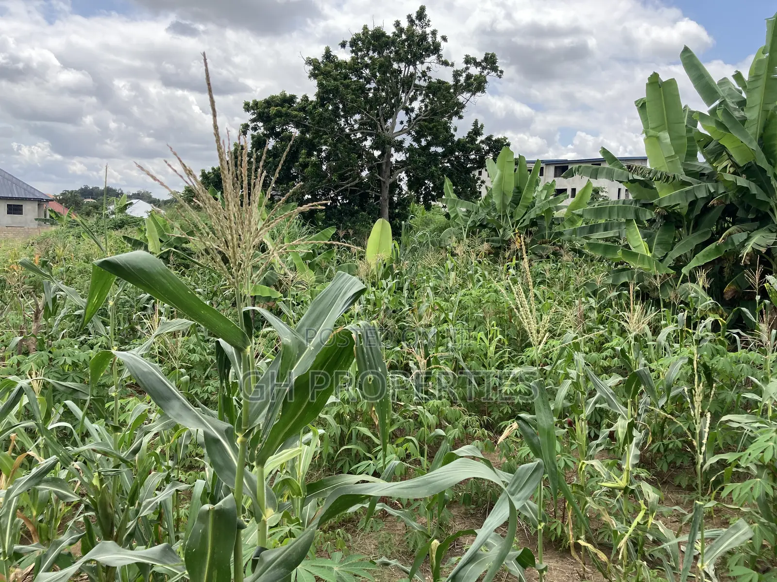 1 Plot for Sale at Trade Konkoli.2 Minutes Walk to Main Road. in Kumasi Metropolitan