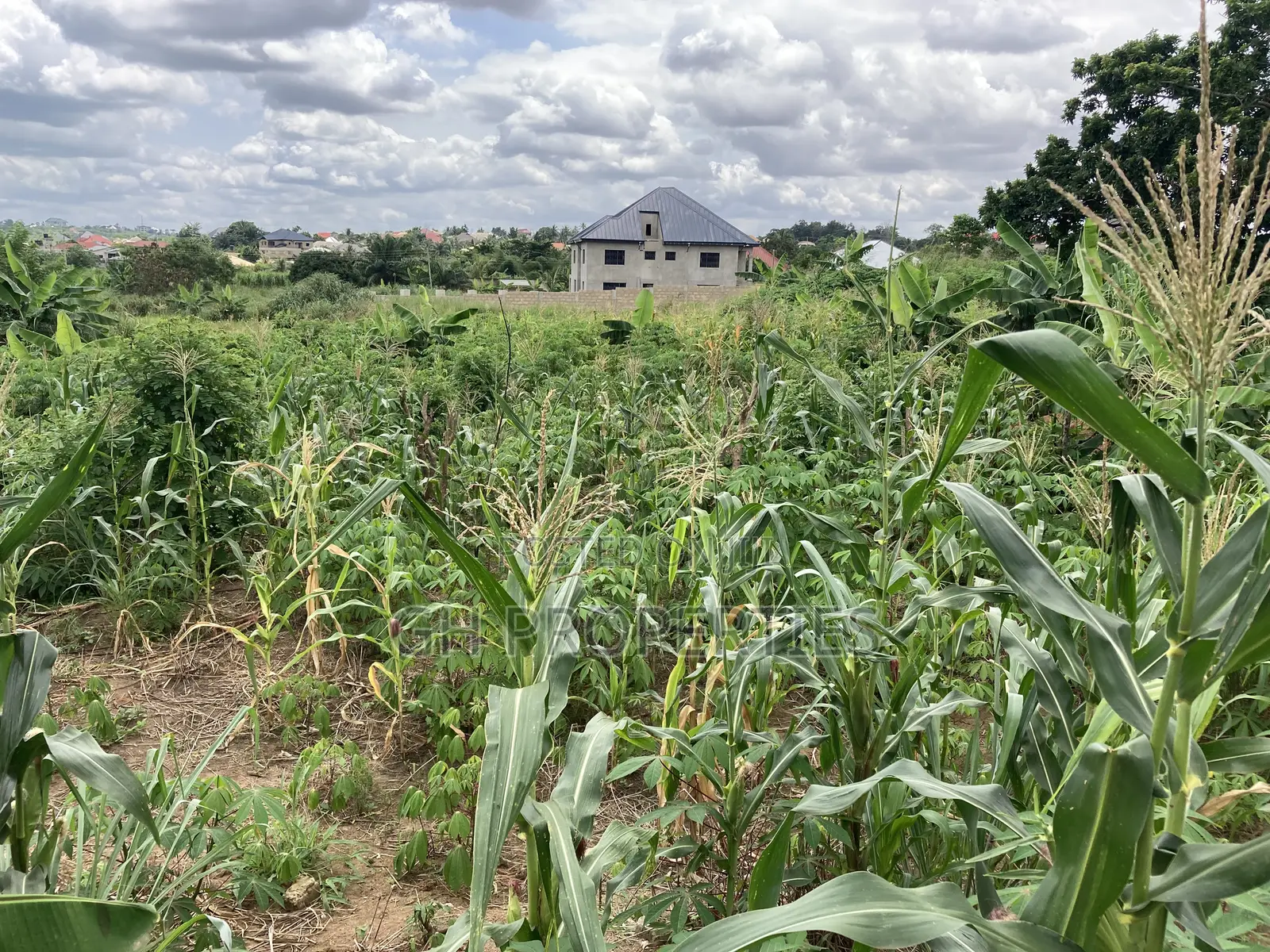 1 Plot for Sale at Trade Konkoli.2 Minutes Walk to Main Road. in Kumasi Metropolitan
