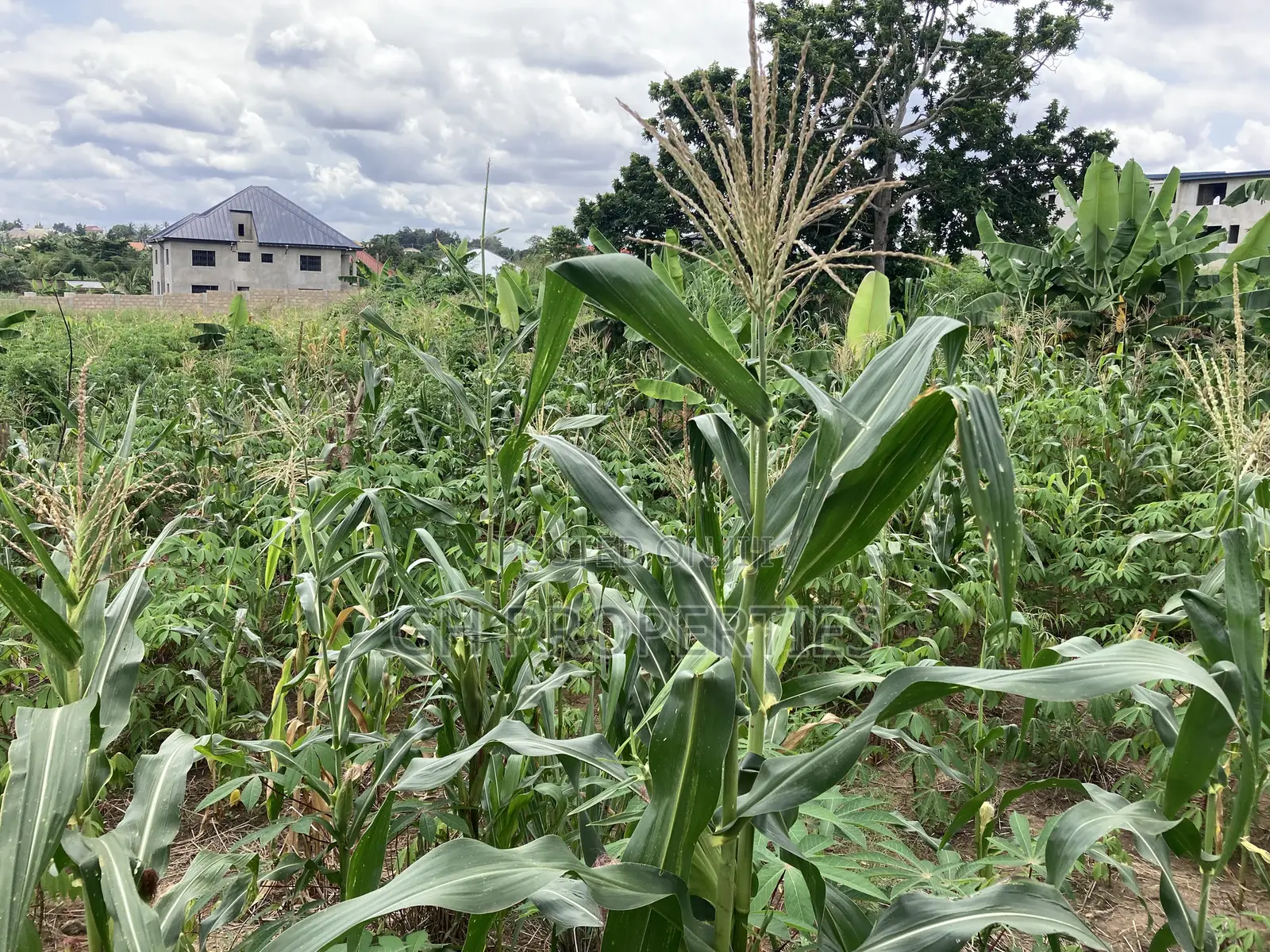 1 Plot for Sale at Trade Konkoli.2 Minutes Walk to Main Road. in Kumasi Metropolitan