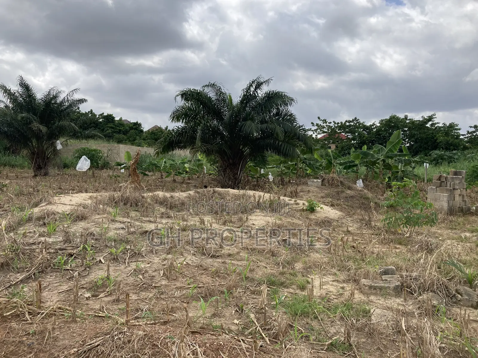 One Plot for Sale at Kwanwoma Duropem. in Kumasi Metropolitan