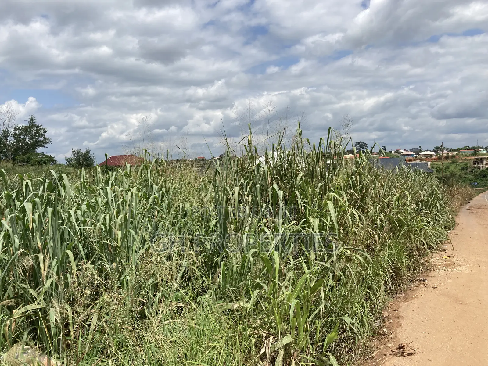 One Plot for Sale at Kwanwoma Duropem Main Road. in Kumasi Metropolitan