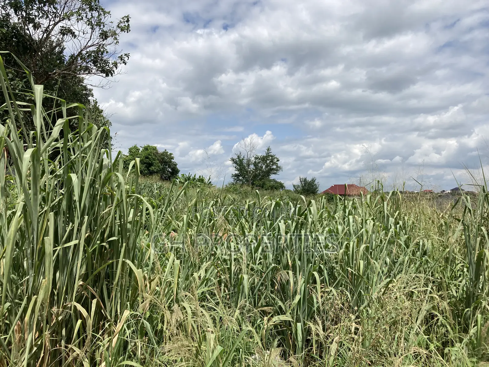 One Plot for Sale at Kwanwoma Duropem Main Road. in Kumasi Metropolitan