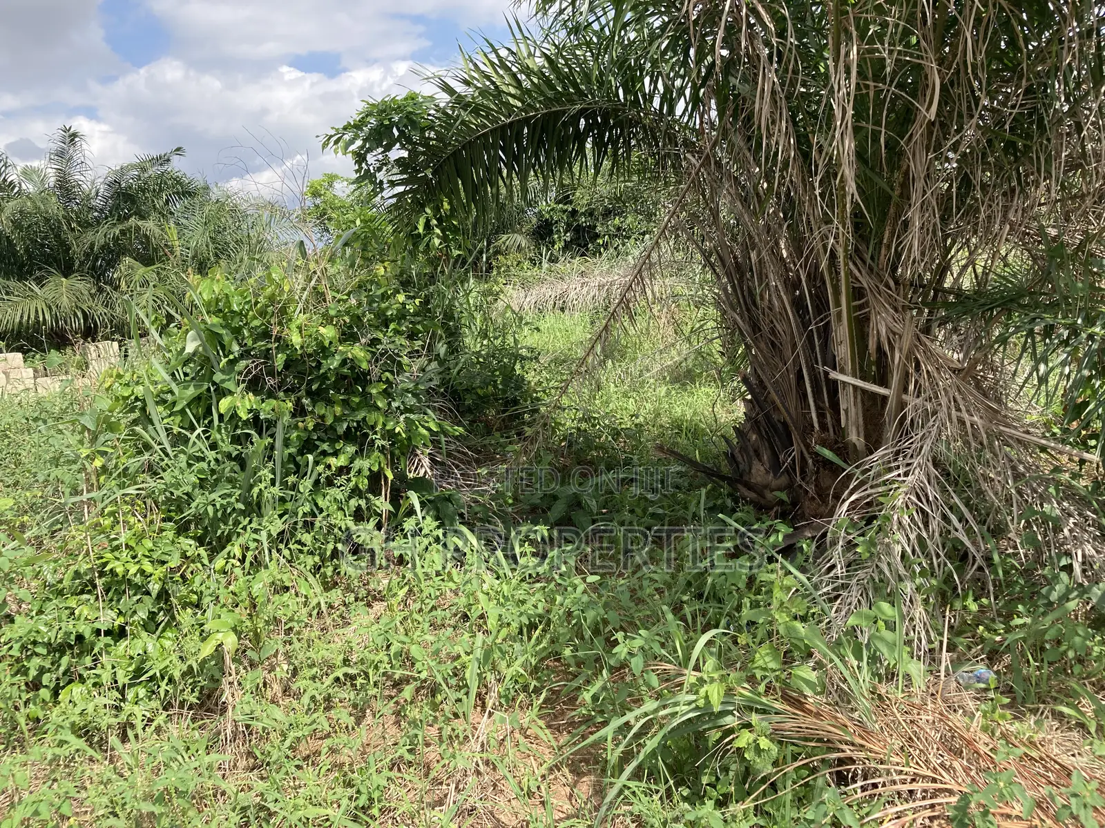 Half Plot for Sale at Sokoban, Ampaame Hills in Kumasi Metropolitan
