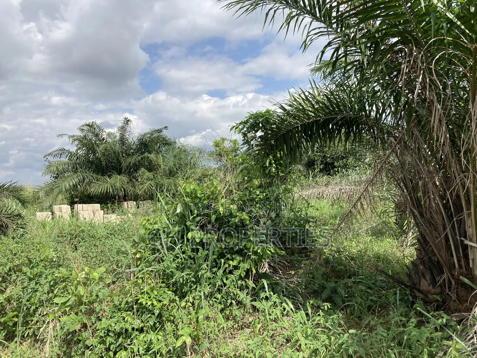 Half Plot for Sale at Sokoban, Ampaame Hills in Kumasi Metropolitan