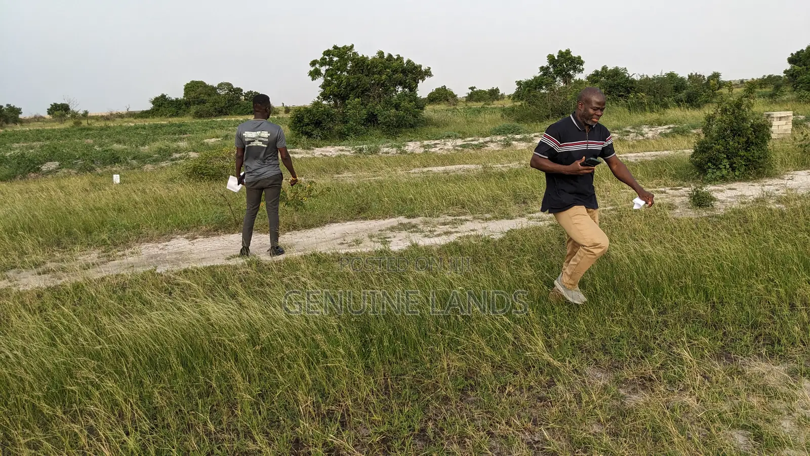 Genuine Land Free From Water Logged for Sale in Accra Metropolitan