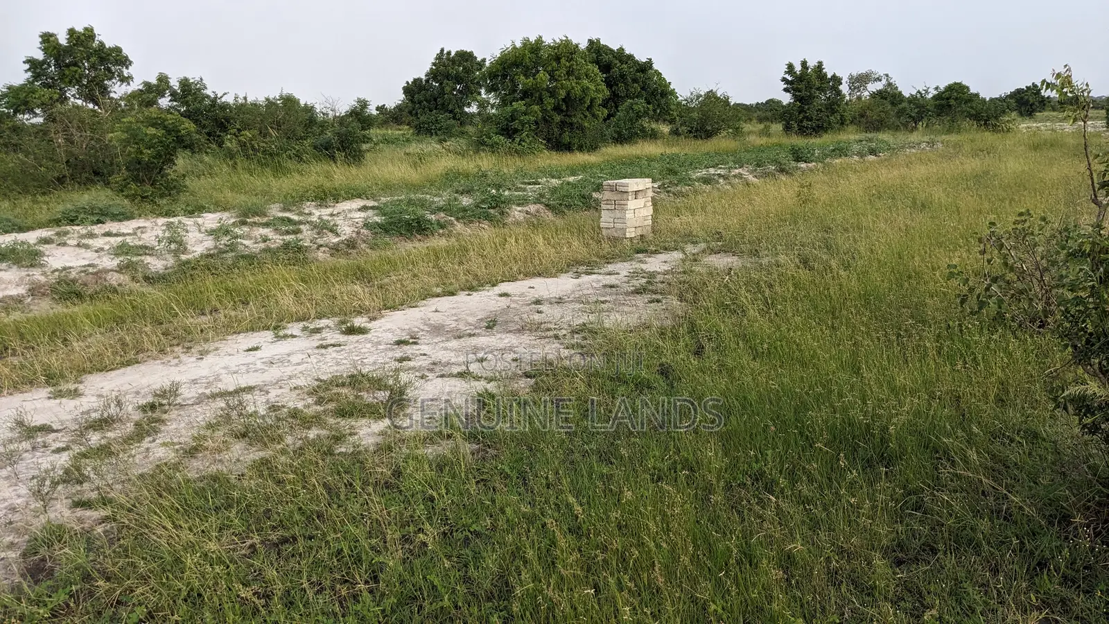Genuine Land Free From Water Logged for Sale in Accra Metropolitan