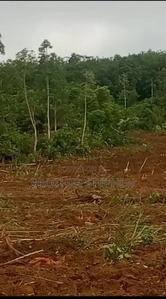 Asamankese Farmland for Sale. in East Akim Municipal