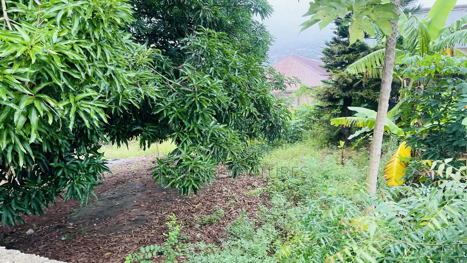 Titled Land for Sale at Gbawe Zero in Gbawe