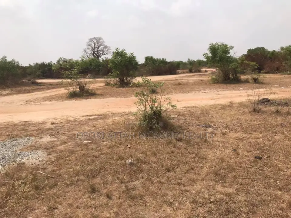Premium Residential Land Available at Afienya -(Mobole) Lands for Sale in Tema Metropolitan