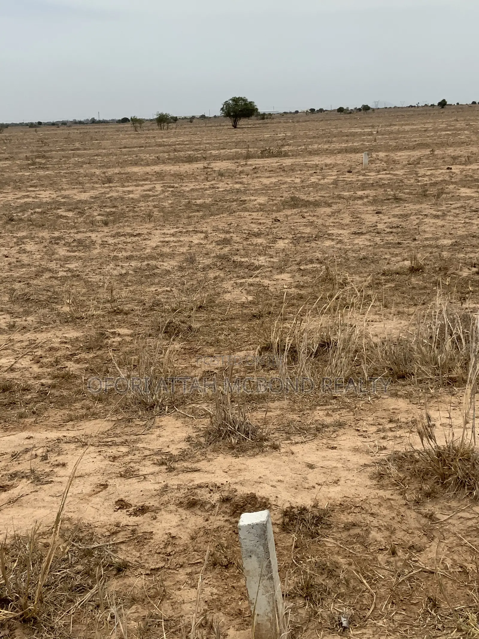 Genuine Land You Can Trust in Tema Metropolitan