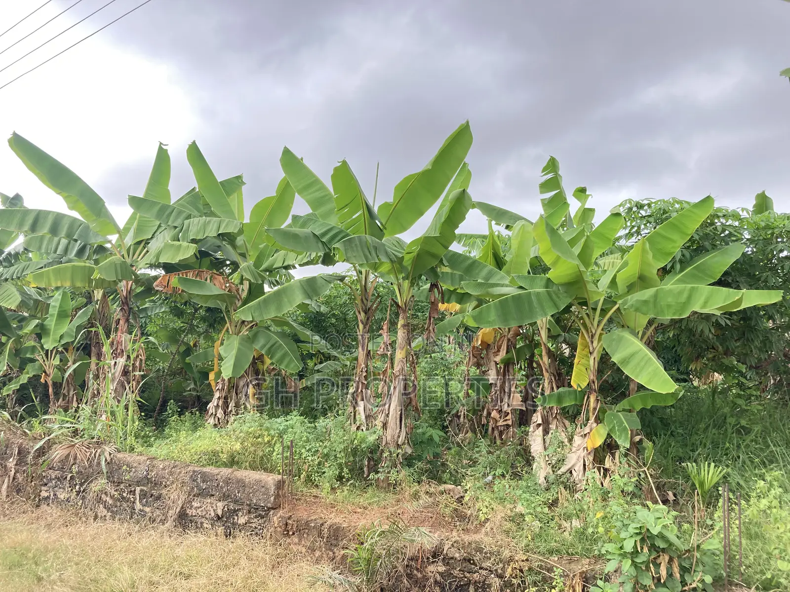 One Plot for Sale at Daban. in Kumasi Metropolitan