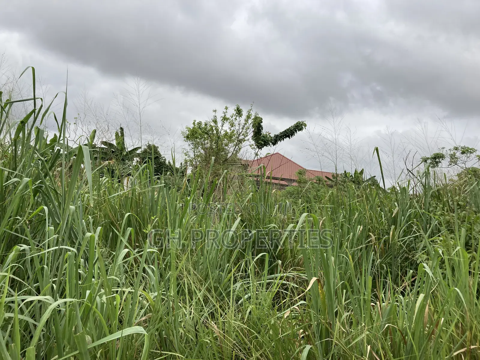 One Plot for Sale at Daban Cindy’S in Kumasi Metropolitan