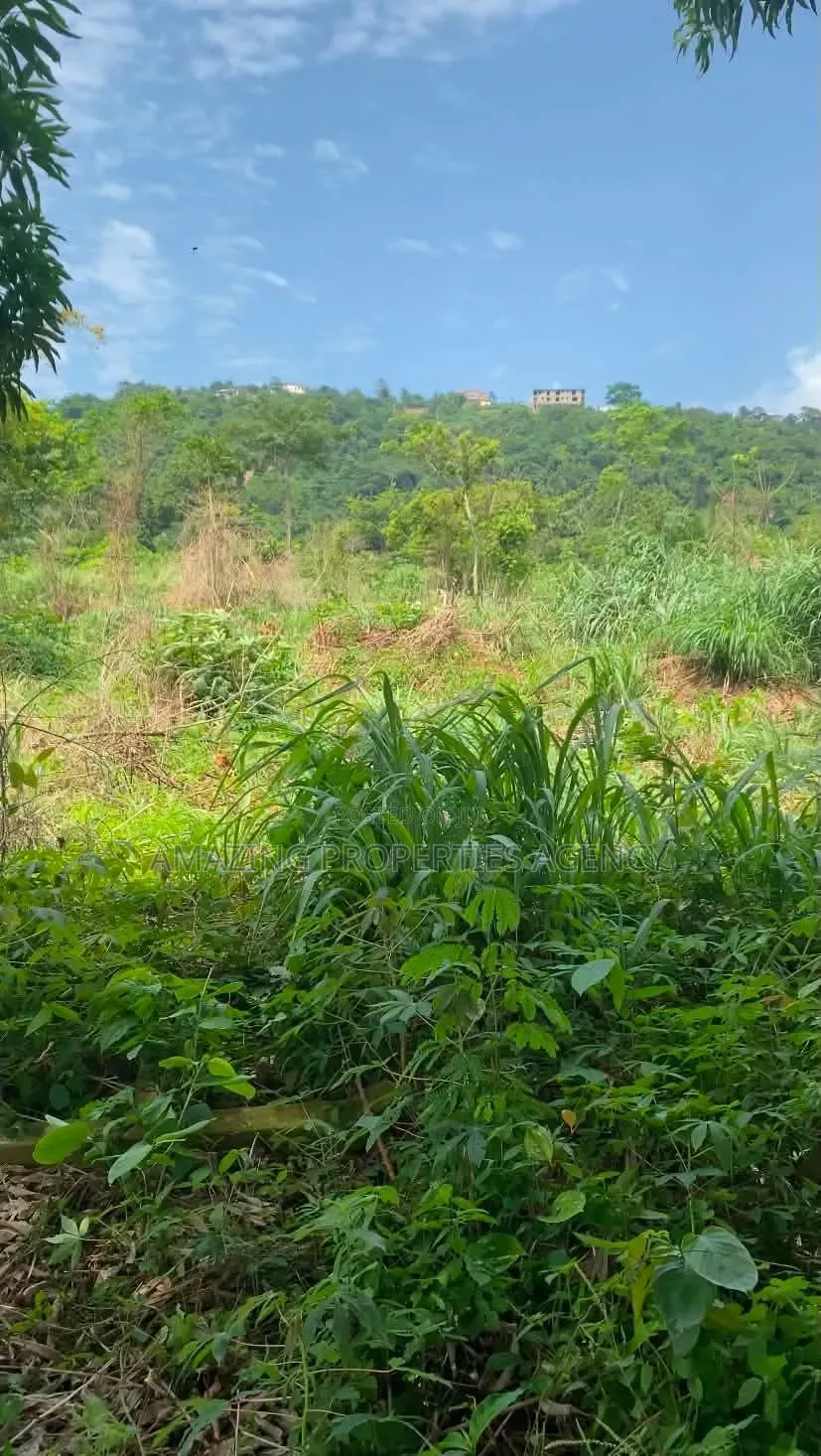 A. 50 Acres Prime in Legon
• Minutes From University of Ghana, Upsa in Little Legon
