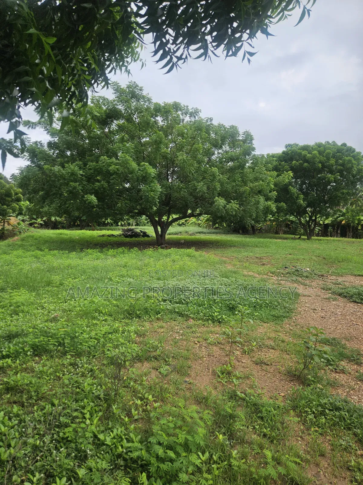 Prime Legon Land for Sale • 77 Acres Available • Prime in Legon in Little Legon