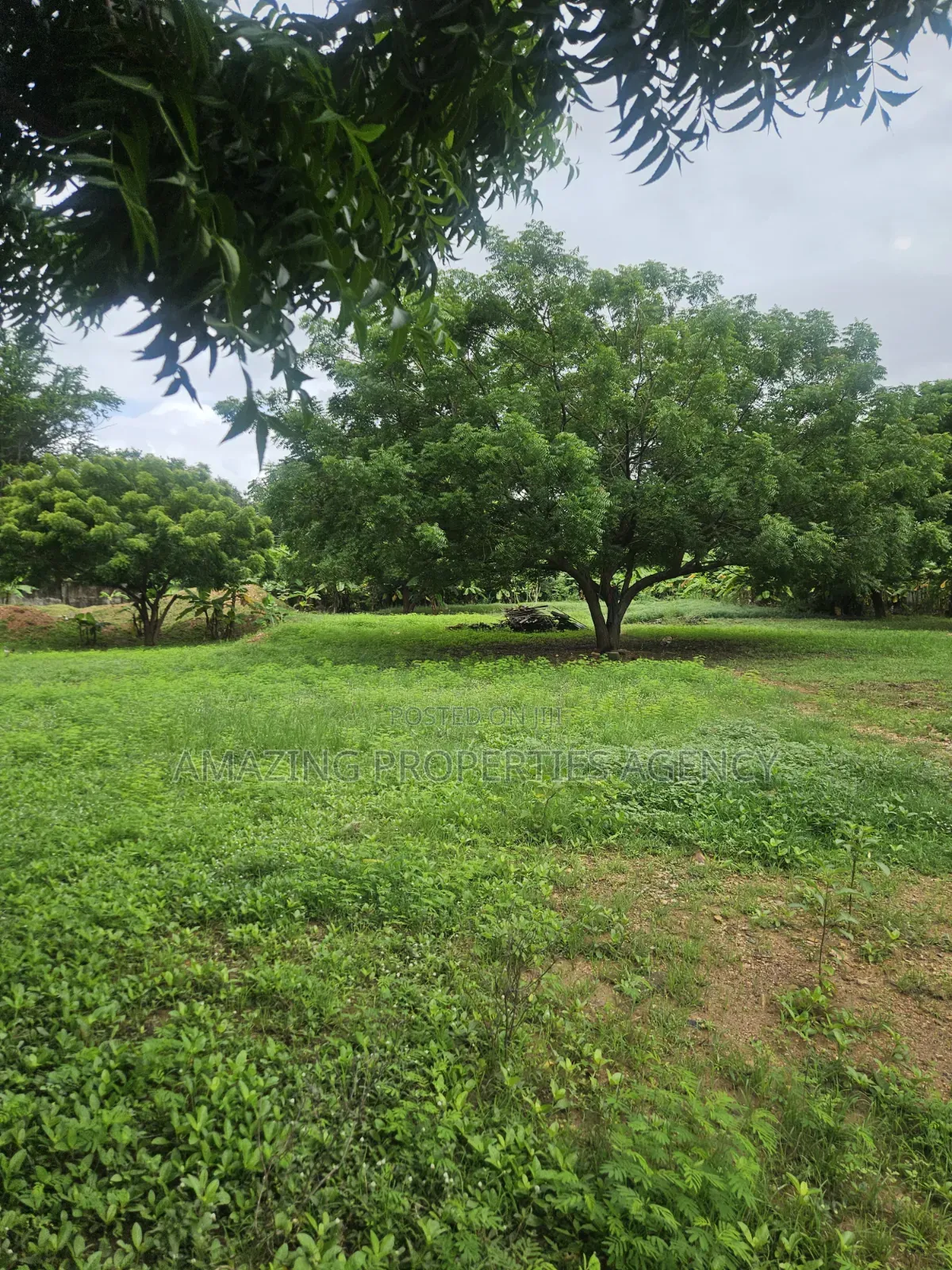 Prime Legon Land for Sale • 77 Acres Available • Prime in Legon in Little Legon