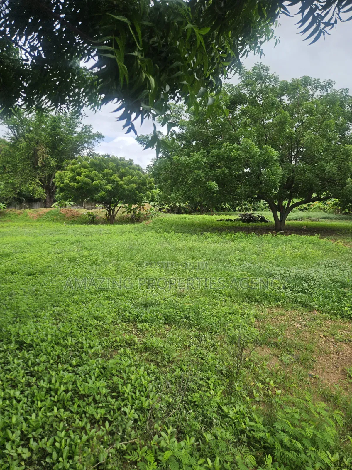 Prime Legon Land for Sale • 77 Acres Available • Prime in Legon in Little Legon