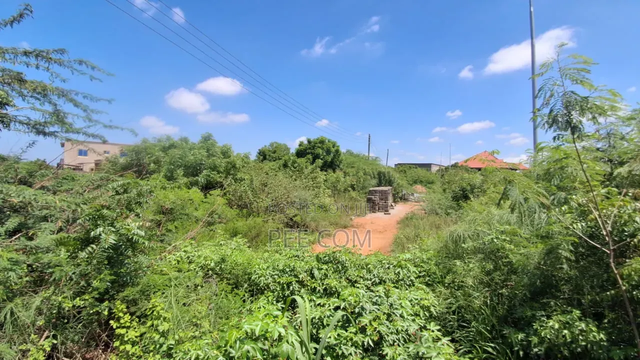 Bechem Concession for Mining (Gold Land) CHECK PRICE IN DESCRIPTION in Tano South