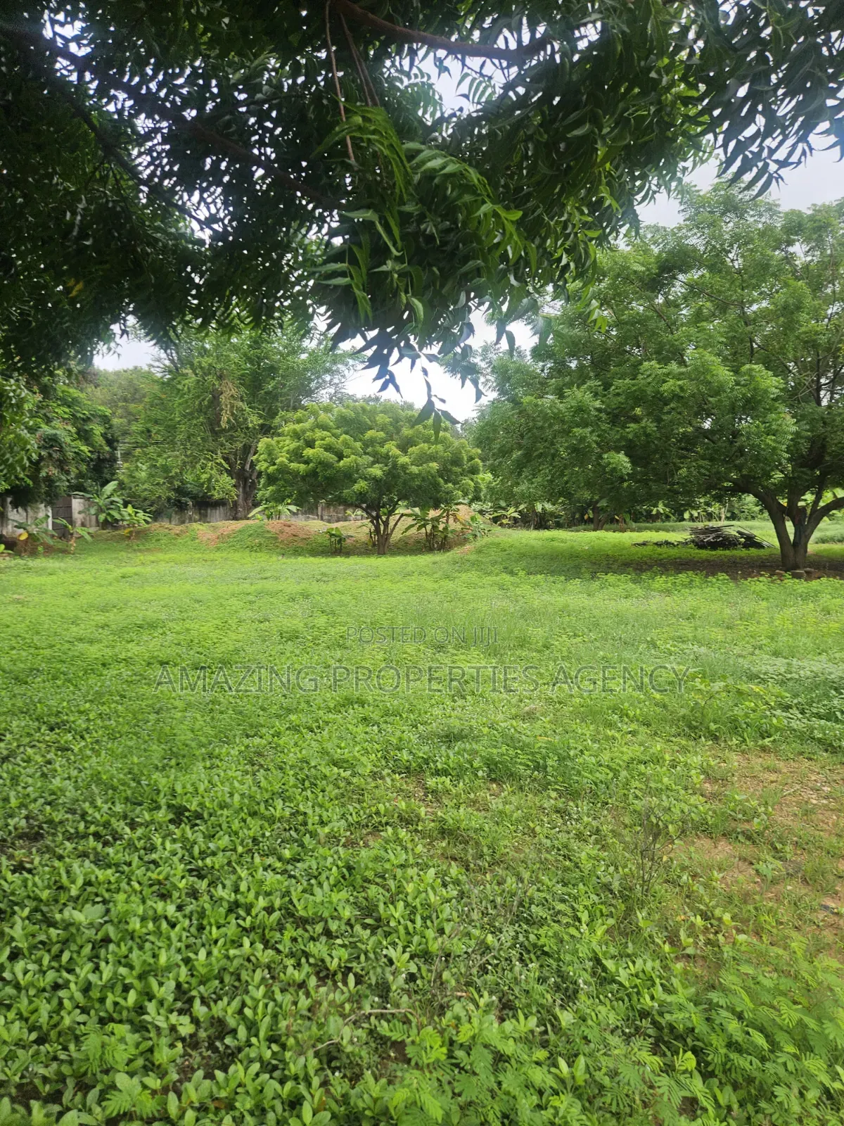 For Sale 2 Plots of Land Abelemkpe in Mosque Area