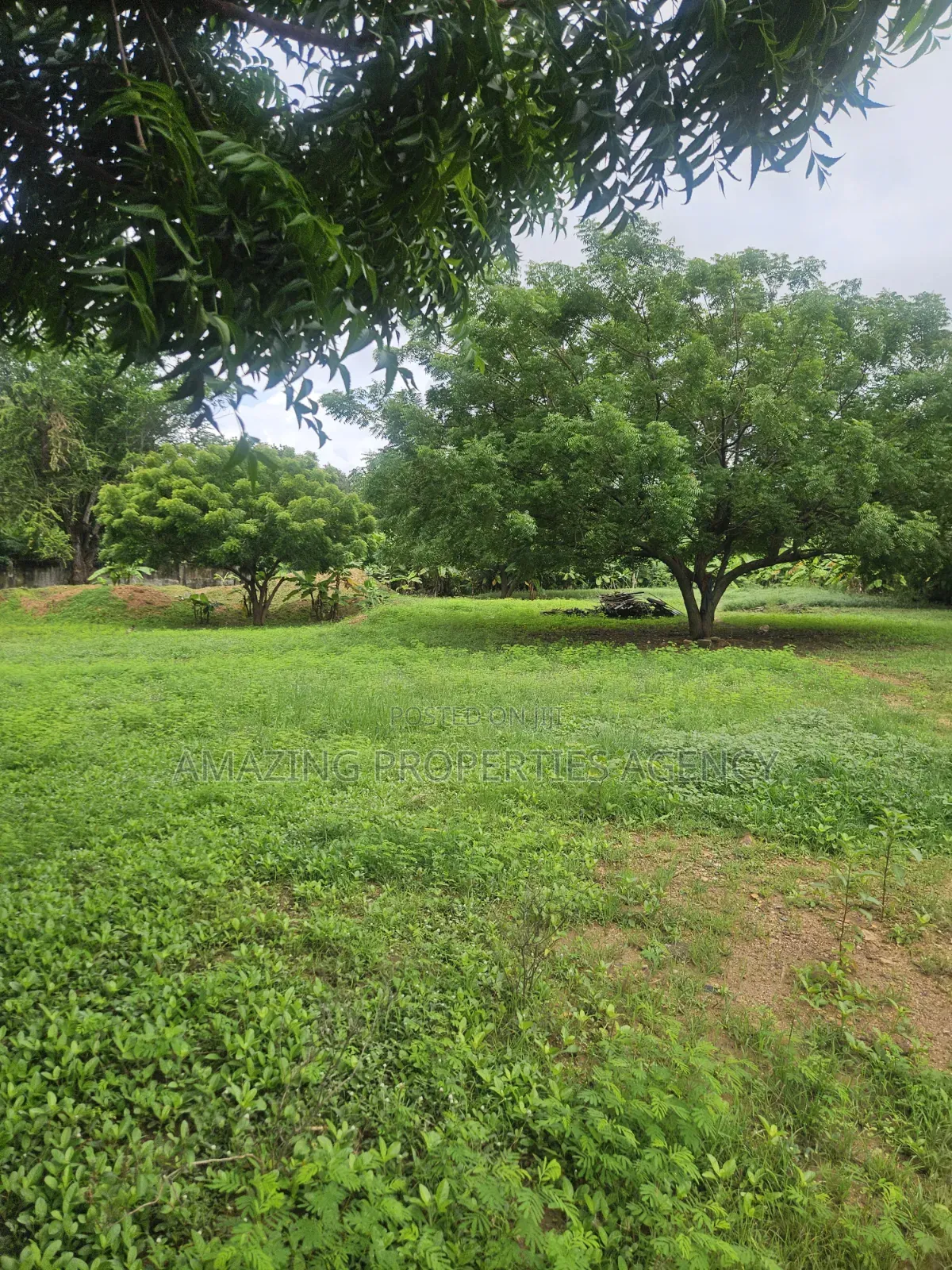 For Sale 2 Plots of Land Abelemkpe in Mosque Area