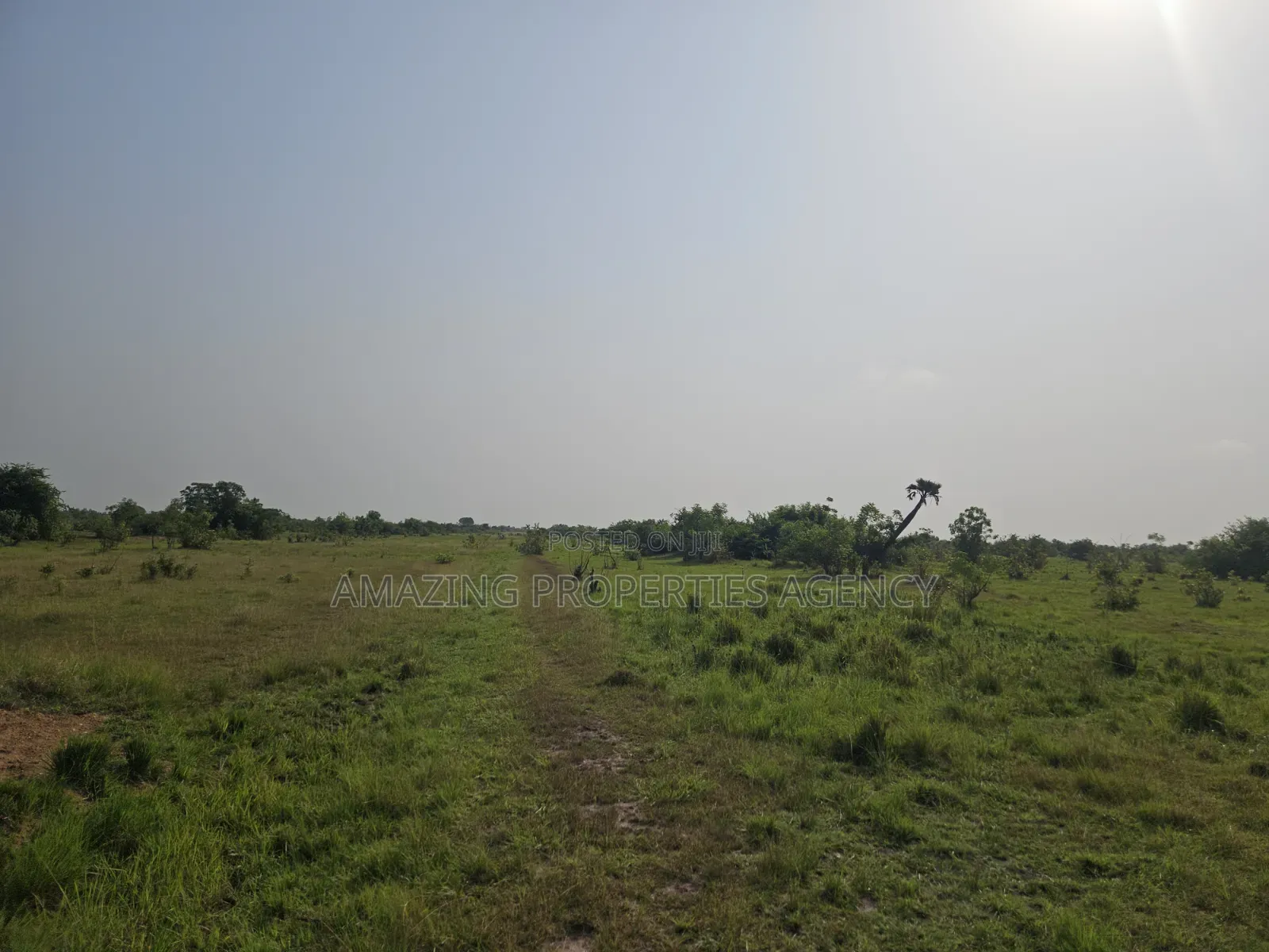 19 Acres of Land Available for Sale at Tema Industrial Area in Community 25