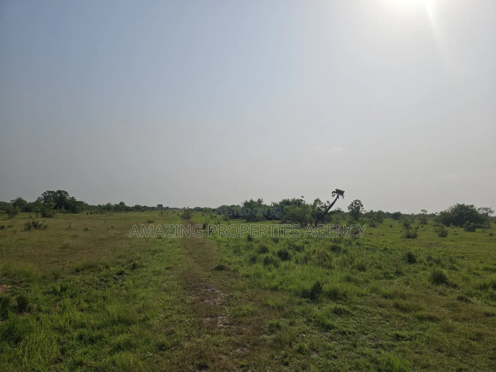 19 Acres of Land Available for Sale at Tema Industrial Area in Community 25