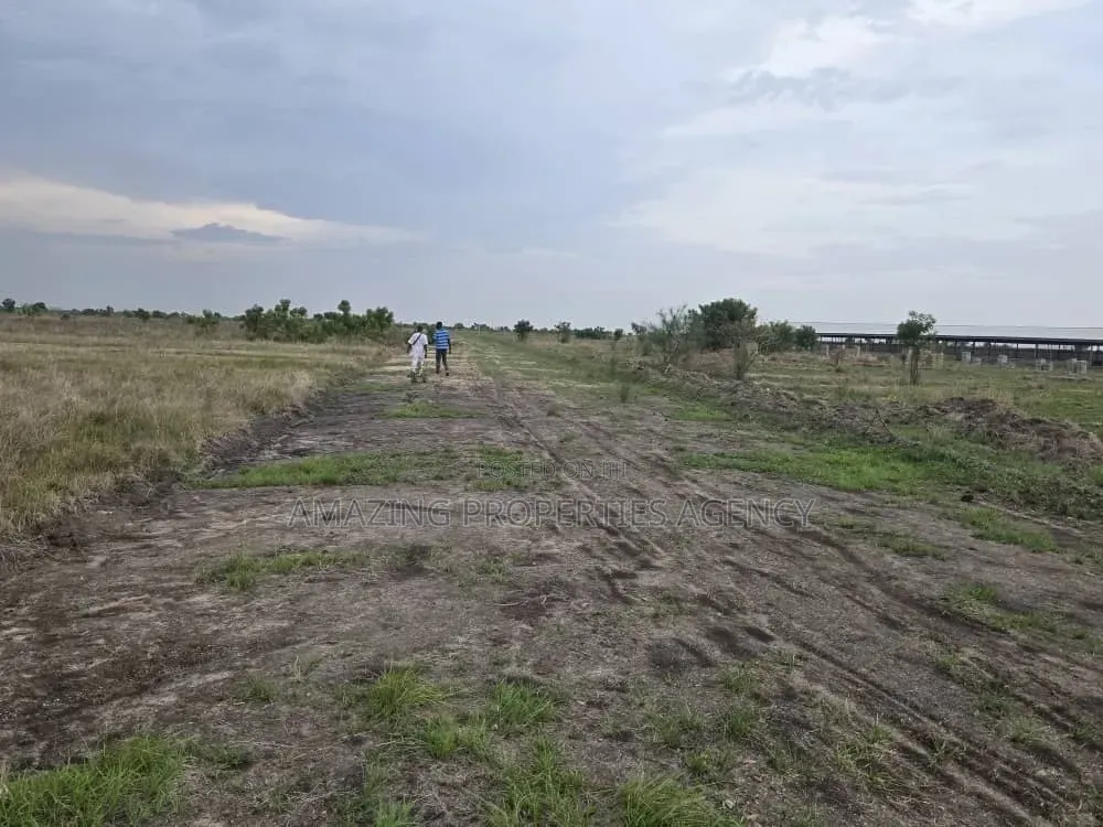 A. 13acres of Land Available for Sale at Tema Industrial Area in Community 25