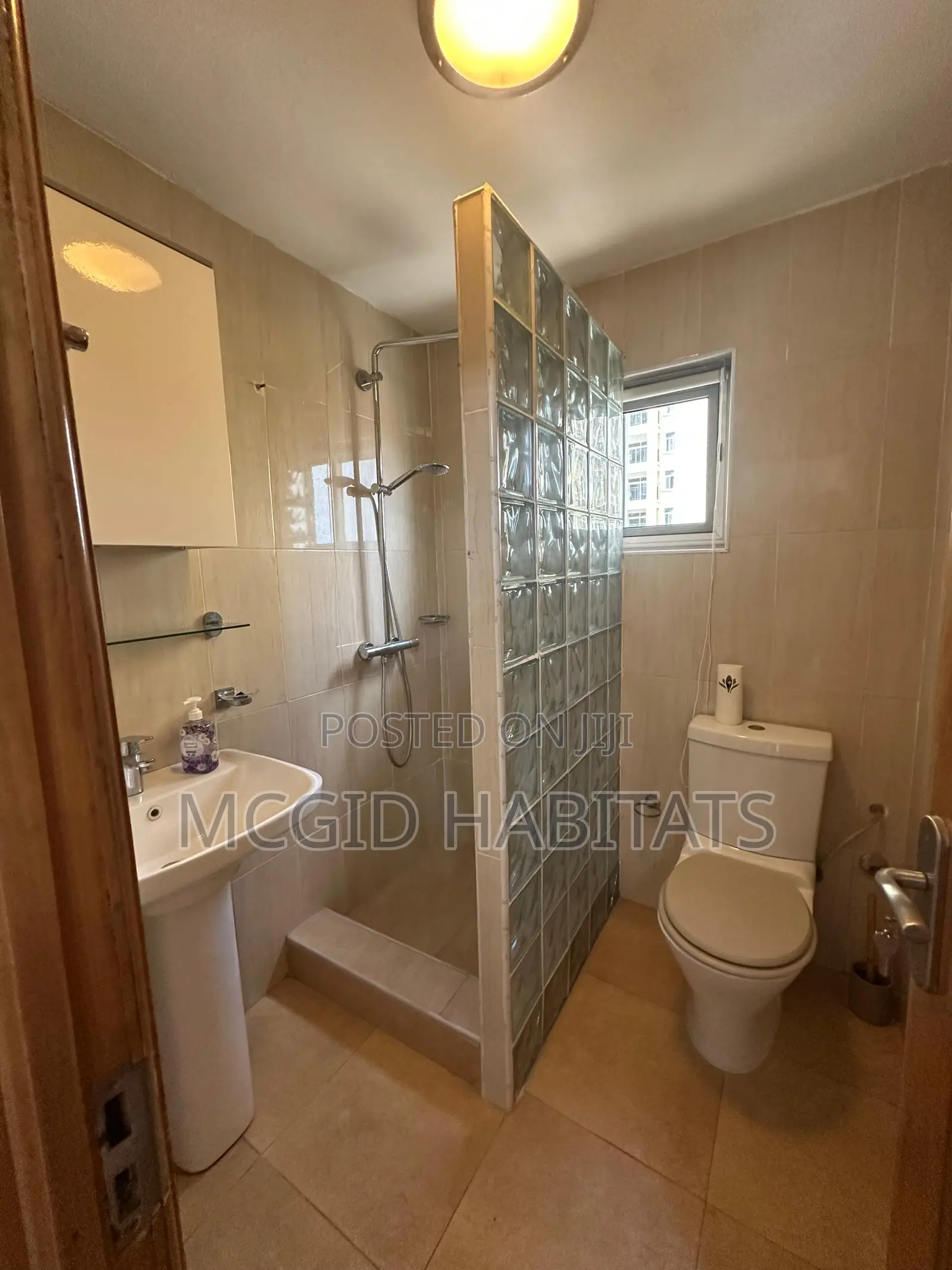 Furnished 3bdrm Apartment in Osu for rent in Osu