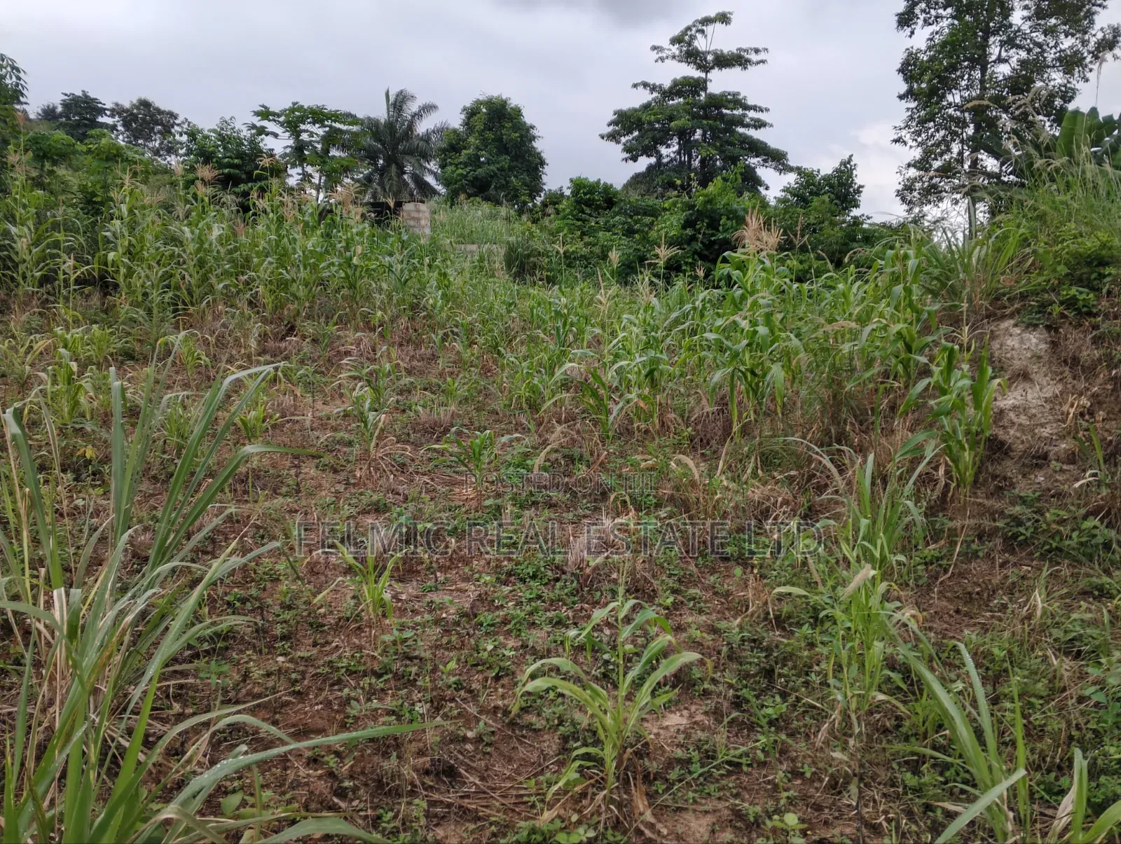 1 Plot of Land at Obom for Sale in Ga South Municipal