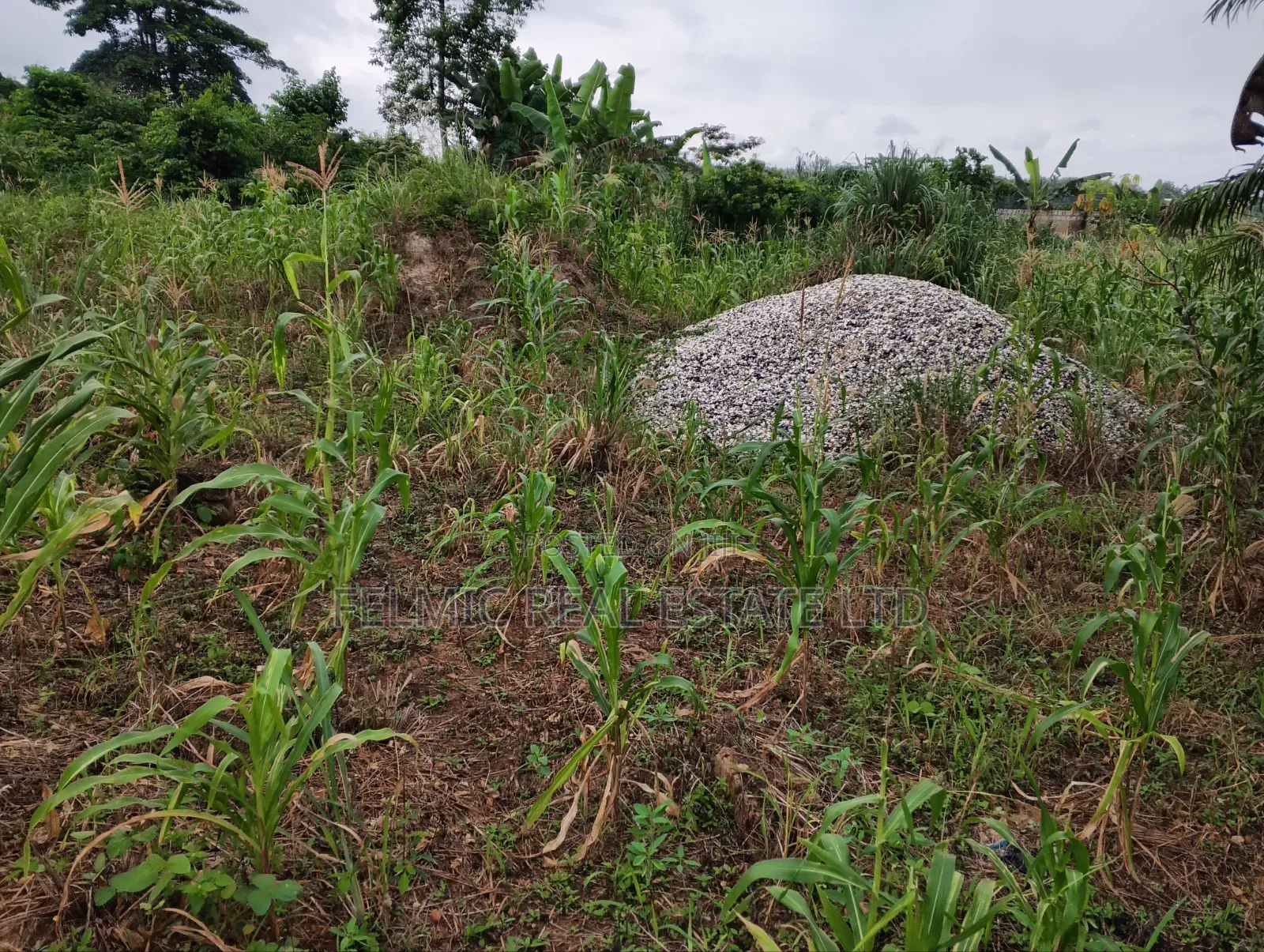 1 Plot of Land at Obom for Sale in Ga South Municipal