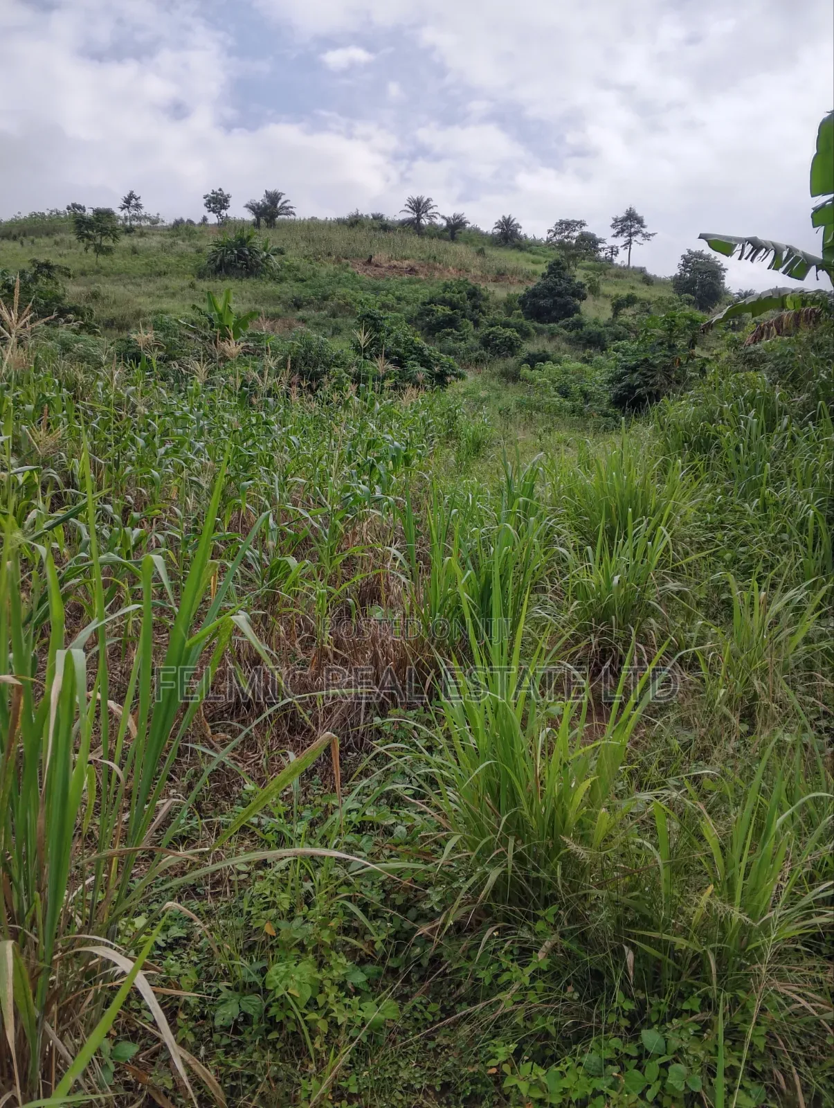 1 Plot of Land at Obom for Sale in Ga South Municipal